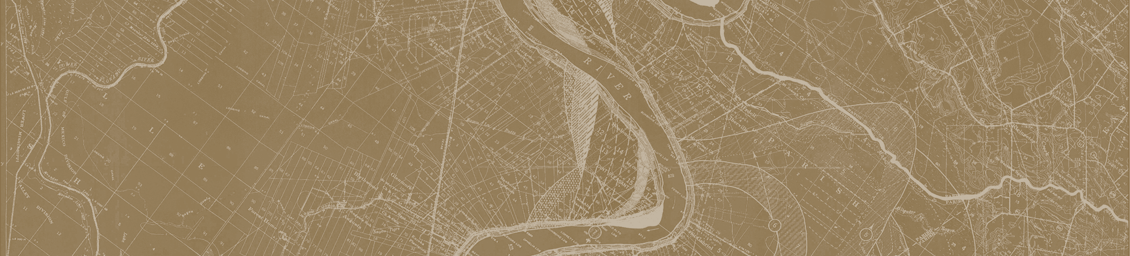 Magnolia linework