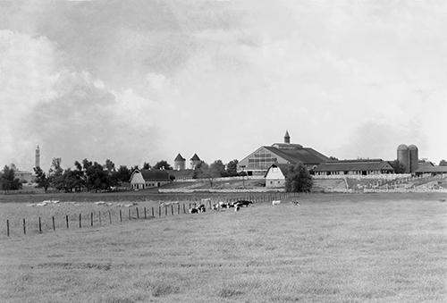 1861